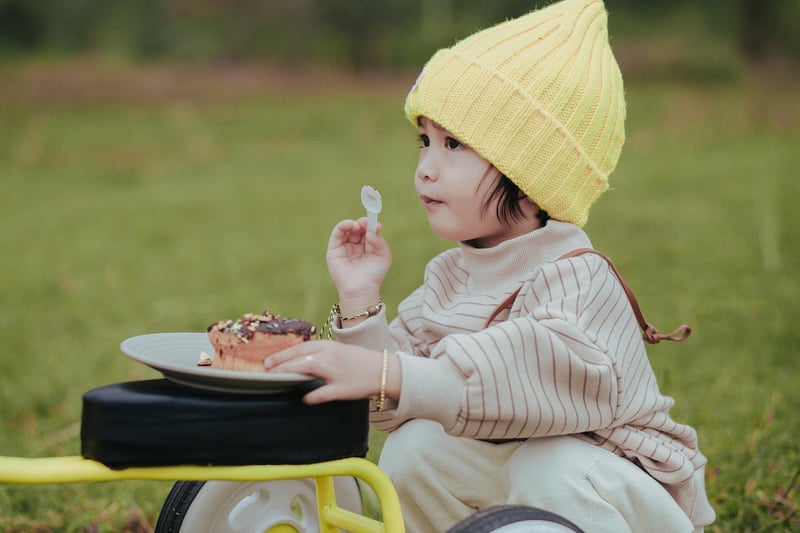 Picnic in nature